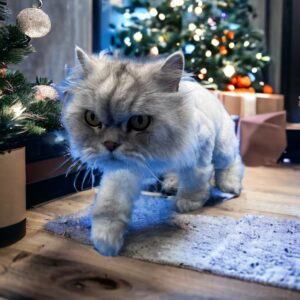 Persian lion christmas tree